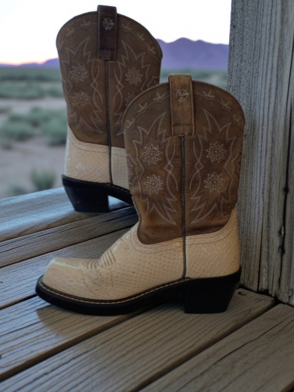 Ariat Two-Tone Western Heeled Boots in Brown and Cream